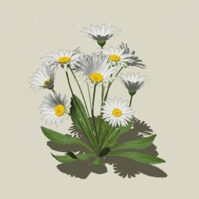 ����-Sketchup��ͼ��ʦEnscape����ģ��2022051135