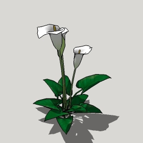 草图大师模型植物简模齐全2022年1252