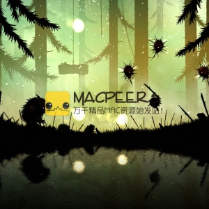 FEIST for mac 2.4.0.7 (2015) 中文版 mac游戏