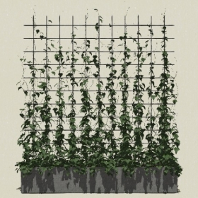 ����ֲ��-Sketchup��ͼ��ʦEnscape����ģ��20220511144