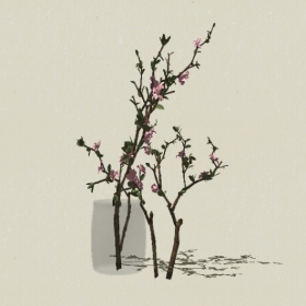 ����-Sketchup��ͼ��ʦEnscape����ģ��20220511163