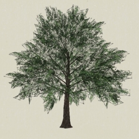 ��ľ-Sketchup��ͼ��ʦEnscape����ģ��20220511117