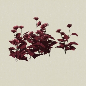 ����-Sketchup��ͼ��ʦEnscape����ģ��2022051188