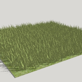 ͼʦģֲģȫ2022087