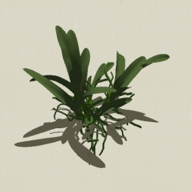 ��-Sketchup��ͼ��ʦEnscape����ģ��20220511101