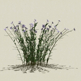 ����-Sketchup��ͼ��ʦEnscape����ģ��2022051170