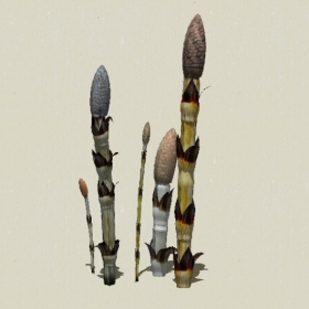 ��-Sketchup��ͼ��ʦEnscape����ģ��2022051152