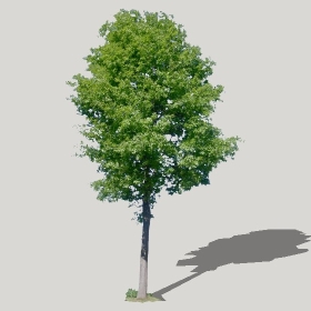 ͼʦģֲģȫ2022187