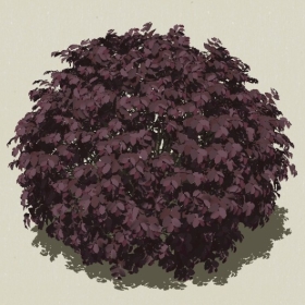 ��ľ-Sketchup��ͼ��ʦEnscape����ģ��2022051124