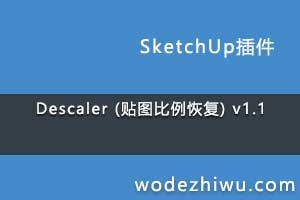 Descaler (ͼָ) v1.1