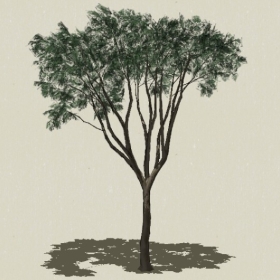 ��ľ-Sketchup��ͼ��ʦEnscape����ģ��20220511144