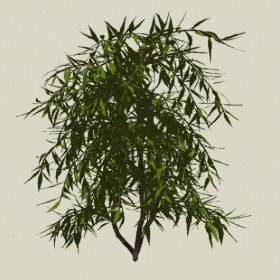 ��ľ-Sketchup��ͼ��ʦEnscape����ģ��20220511113