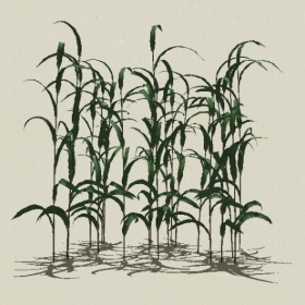 ��-Sketchup��ͼ��ʦEnscape����ģ��2022051180