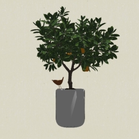 ����ֲ��-Sketchup��ͼ��ʦEnscape����ģ��20220511400