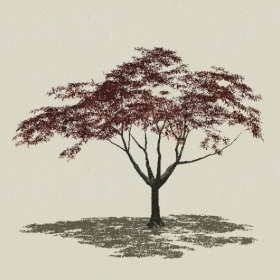 ��ľ-Sketchup��ͼ��ʦEnscape����ģ��20220511168