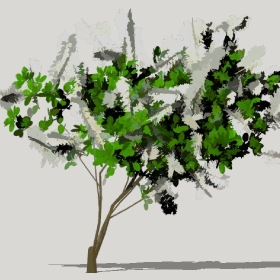 草图大师模型植物简模齐全2022年1243