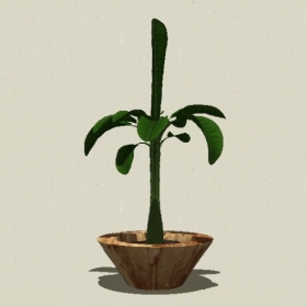 ����ֲ��-Sketchup��ͼ��ʦEnscape����ģ��20220511254