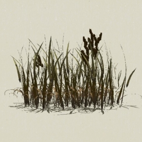 ��-Sketchup��ͼ��ʦEnscape����ģ��2022051171