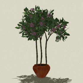 ����ֲ��-Sketchup��ͼ��ʦEnscape����ģ��20220511309