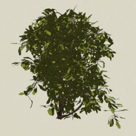 ��ľ-Sketchup��ͼ��ʦEnscape����ģ��20220511133