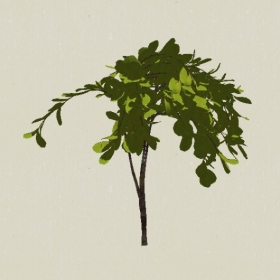 ��ľ-Sketchup��ͼ��ʦEnscape����ģ��2022051167