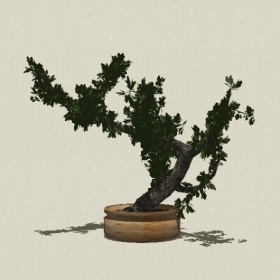 �辰ֲ��-Sketchup��ͼ��ʦEnscape����ģ��2022051120