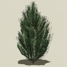 ��Ҷ��ľ-Sketchup��ͼ��ʦEnscape����ģ��2022051136