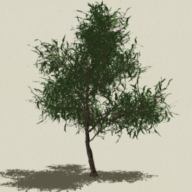 ��ľ-Sketchup��ͼ��ʦEnscape����ģ��20220511154