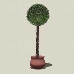 ����ֲ��-Sketchup��ͼ��ʦEnscape����ģ��20220511356