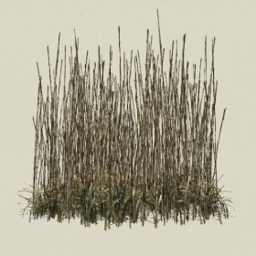 ��-Sketchup��ͼ��ʦEnscape����ģ��2022051131