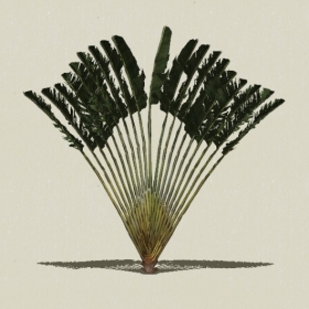 ���ֲ��-Sketchup��ͼ��ʦEnscape����ģ��2022051119