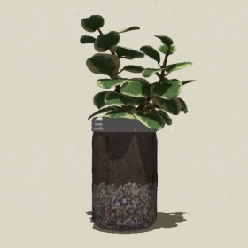 ����ֲ��-Sketchup��ͼ��ʦEnscape����ģ��2022051116