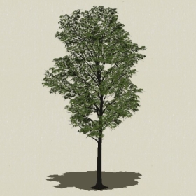 ��ľ-Sketchup��ͼ��ʦEnscape����ģ��202205118