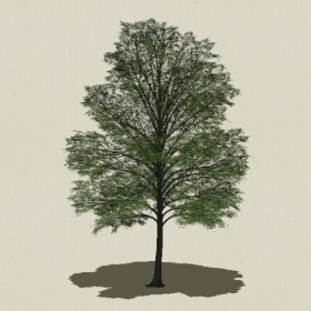 ��ľ-Sketchup��ͼ��ʦEnscape����ģ��2022051118