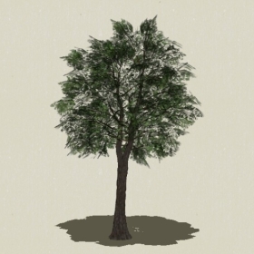 ��ľ-Sketchup��ͼ��ʦEnscape����ģ��2022051180