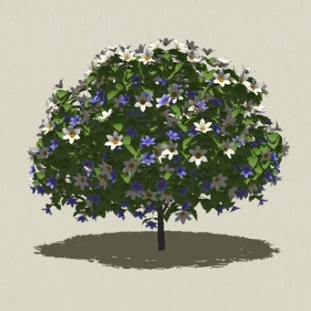 ��ľ��ľ-Sketchup��ͼ��ʦEnscape����ģ��2022051131