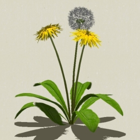 ����-Sketchup��ͼ��ʦEnscape����ģ��2022051119