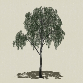 ��ľ-Sketchup��ͼ��ʦEnscape����ģ��2022051115