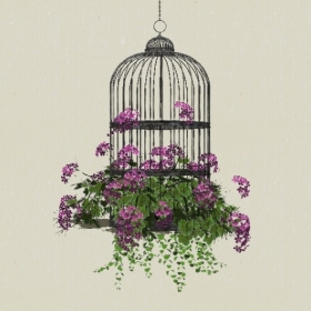 ����ֲ��-Sketchup��ͼ��ʦEnscape����ģ��20220511226