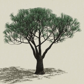 ��Ҷ��ľ-Sketchup��ͼ��ʦEnscape����ģ��2022051154