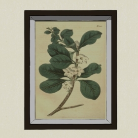 װ�λ�-Sketchup��ͼ��ʦEnscape����ģ��2022051186