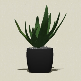 ����ֲ��-Sketchup��ͼ��ʦEnscape����ģ��20220511137