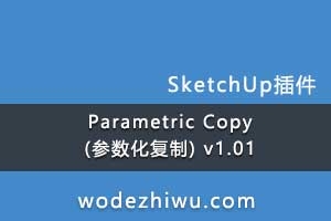 Parametric Copy () v1.01