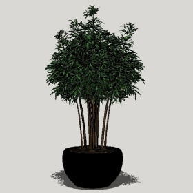 ����ֲ��_Sketchup��ͼ��ʦģ��Enscape����22020426482