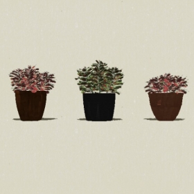 ����ֲ��-Sketchup��ͼ��ʦEnscape����ģ��20220511434