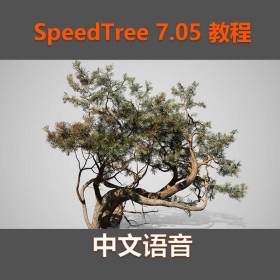 SpeedTree 7.05 植物制作教程 54集