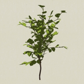 ��ľ-Sketchup��ͼ��ʦEnscape����ģ��2022051169