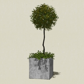 ����ֲ��-Sketchup��ͼ��ʦEnscape����ģ��20220511401