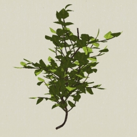 ��ľ-Sketchup��ͼ��ʦEnscape����ģ��2022051173