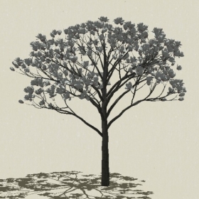 ��ľ��ľ-Sketchup��ͼ��ʦEnscape����ģ��2022051180